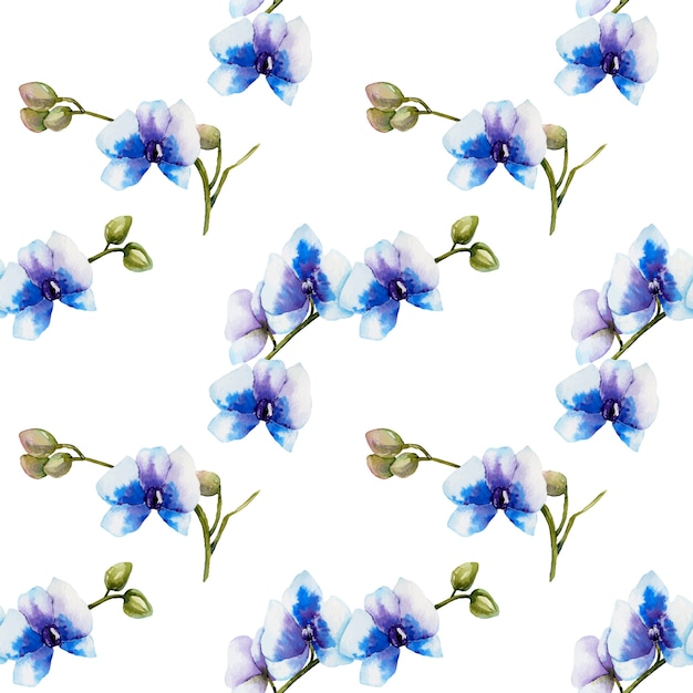 Nahtloses Muster Der Blauen Orchideen Des Aquarells Premium Vektor