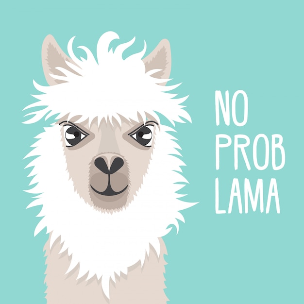Nettes Lama Auf Einem Tadellosen Hintergrund Lama Gesicht Text Kein Prob Lama Gut Fur Grusskarten Premium Vektor