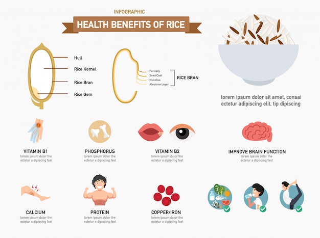 Nutzen Fur Die Gesundheit Von Reis Infografiken Informatives Poster Zum Ausdrucken Premium Vektor