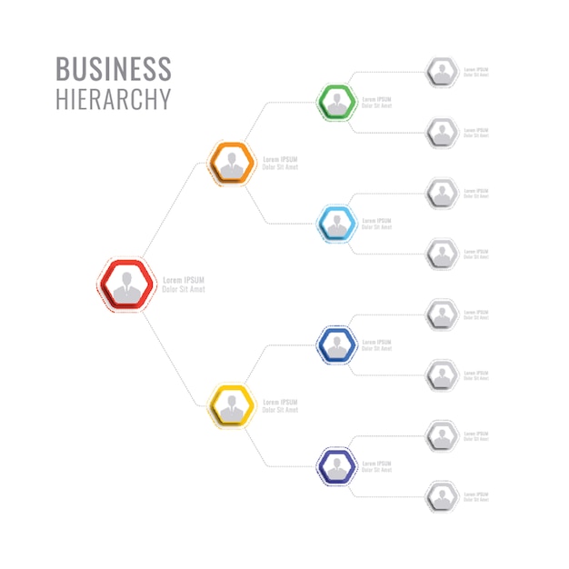 Organisationsstruktur des unternehmens. geschäftshierarchie sechseckige infographik elemente. Premium Vektoren