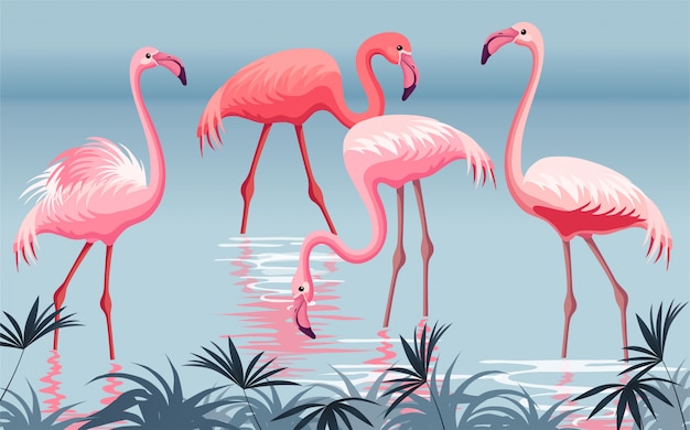 Plakat Flamingo Kostenlose Vektor