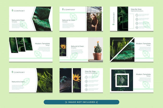 Präsentationsvorlagen-design in pastellgrün mit einem modernen, einfachen und professionellen stil, geeignet für die verwendung von umweltfreundlichen firmenpräsentationen, botanischen gärten und waldschutzkampagnen. Premium Vektoren