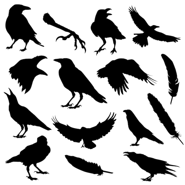 Lerne Diese Vogel Clipart Schwarz Weiss