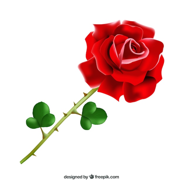 clipart rote rose - photo #9