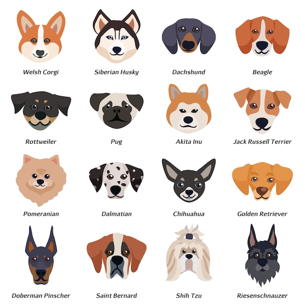Reinrassige hunde gesichter icon set Kostenlose Vektor