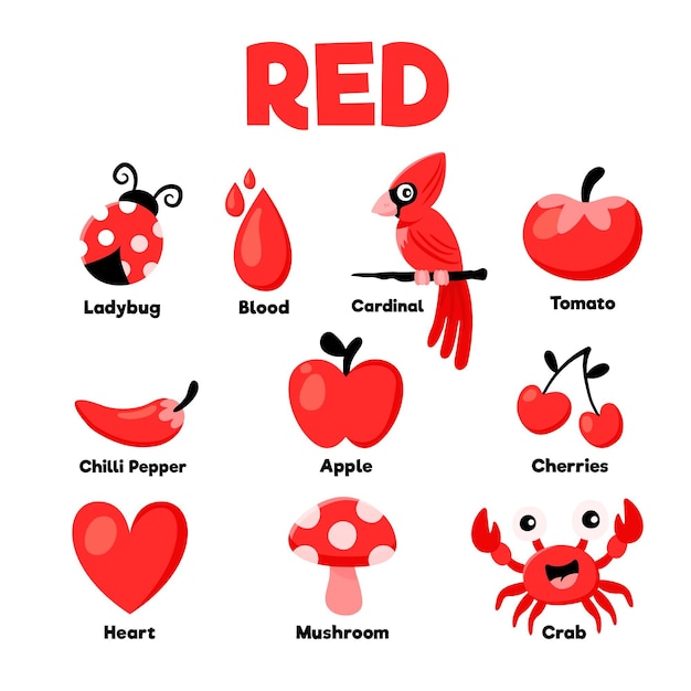 Rote farbe und wortschatz in englisch Kostenlose Vektor