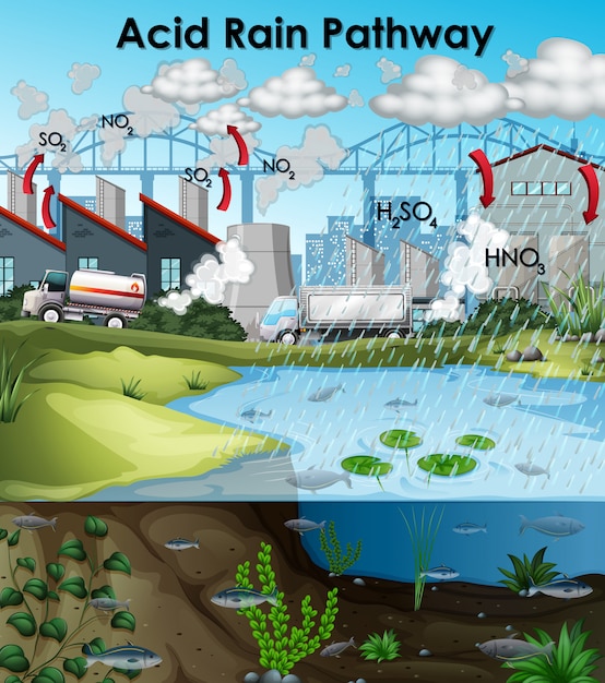 Saurer Regen Diagramm Mit Gebauden Und Wasser Kostenlose Vektor