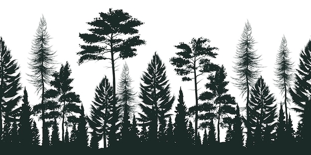 Bilder Wald Silhouette Gratis Vektoren, Fotos und PSDs