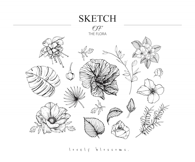 Schöne blatt- und blumenzeichnungen Premium Vektoren