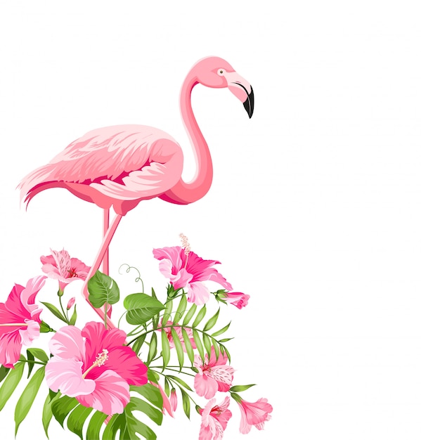 Schones Tropisches Bild Mit Rosa Flamingo Und Plumeriablumen Premium Vektor