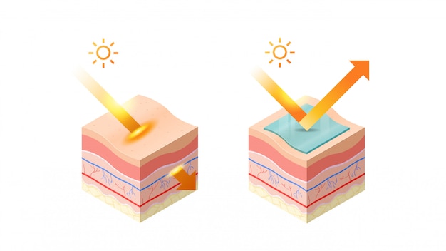 Schutz Und Uv Strahlen Von Der Sonne In Die Epidermis Des Hautquerschnitts Der Menschlichen Hautschichten Strukturieren Hautpflege Medizinisches Konzept Flach Horizontal Premium Vektor