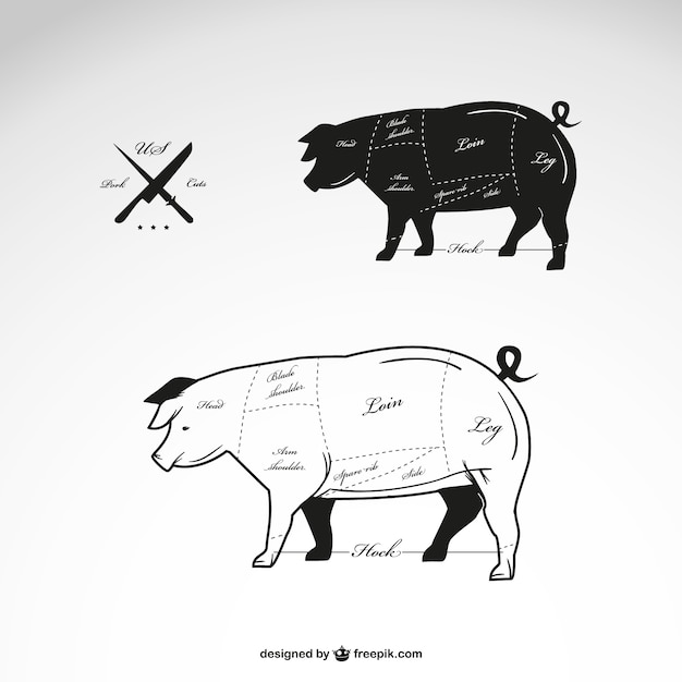 Schweinefleisch vektordiagramm Kostenlosen Vektoren