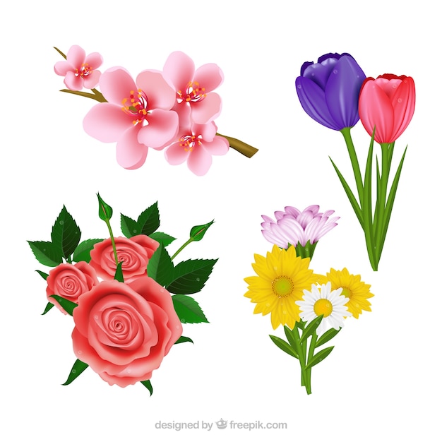 Set schöne realistische blumen Kostenlosen Vektoren