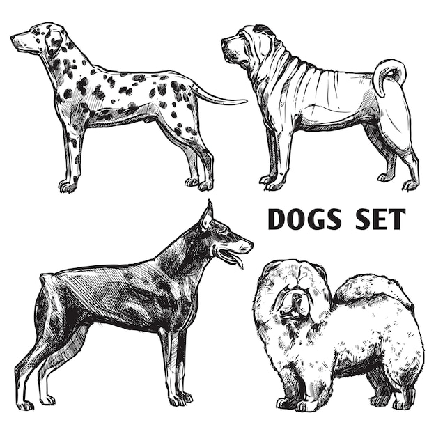 Skizze hunde portrait set Kostenlosen Vektoren