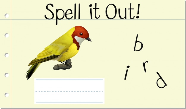 Sprich englisch wort vogel Kostenlose Vektor