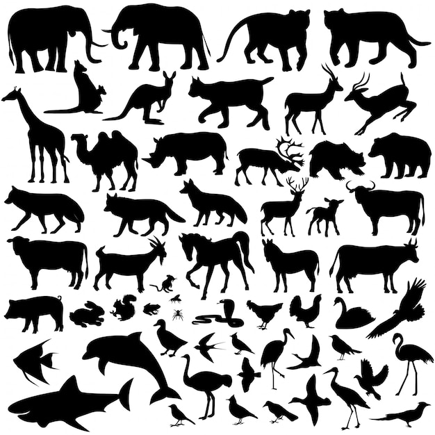 Tiere Premium Vektoren