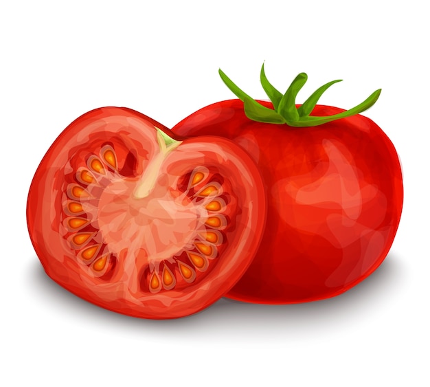 Tomate Kostenlose Vektor