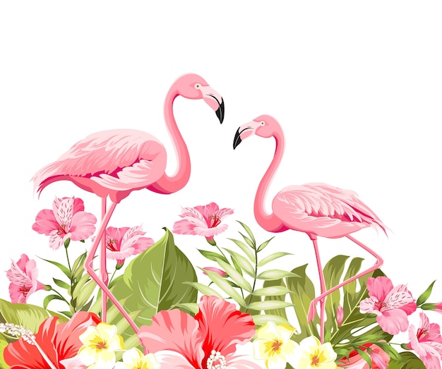 Wrution Tropischer Hintergrund Flamingo Vogel Kaktus Vector Bild Personalisierbar Leinwand Munze Geldborse Tasche Reissverschluss Kleine Geldborse Weiblich Tragbar Grosse Kapazitat Geldborsen Ausweis Kartenhullen Koffer Rucksacke Taschen