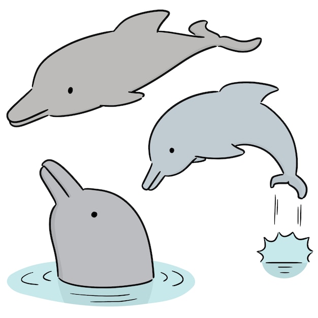 Vektorsatz delphin Premium Vektoren
