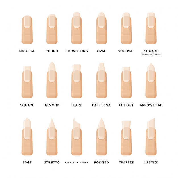 Verschiedene Formen Von Nageln Gesetzt Sammlung Von Weiblichen Nagelformen Der Mode Professionelle Manikure Illustration Premium Vektor