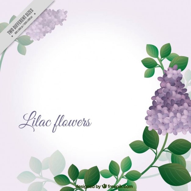 Adorável flores lilás fundo | Baixar vetores grátis