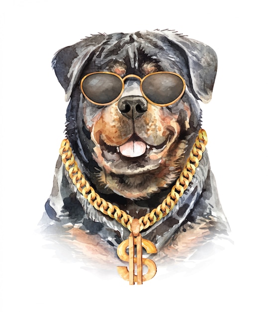 Aguarela do cão de rottweiler com colar chain. Vetor Premium