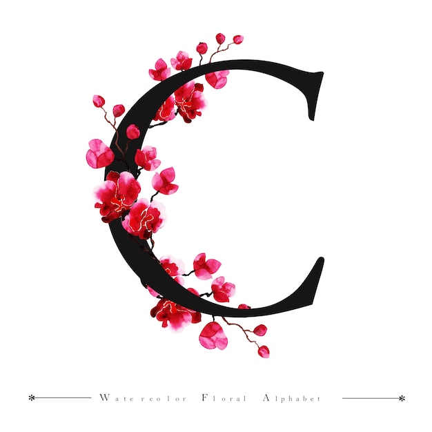 Alfabeto Letra C Aquarela Floral Background Vetor Premium