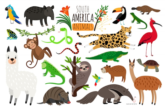Animais da américa do sul. Vetor Premium