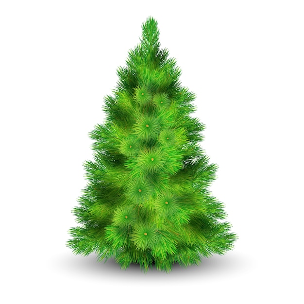 Arvore De Natal Com Galhos Verdes Para Decorar A Ilustracao Vetorial Realista De Casa Vetor Gratis Em pintura e desenho da natureza, podera encontrar informacao pratica elaborada por especialistas sobre pintura e desenho da natureza em formato de texto, video e imagens. arvore de natal com galhos verdes para