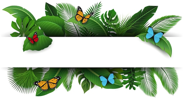 Assine com espaço do texto das folhas e das borboletas tropicais. Vetor Premium