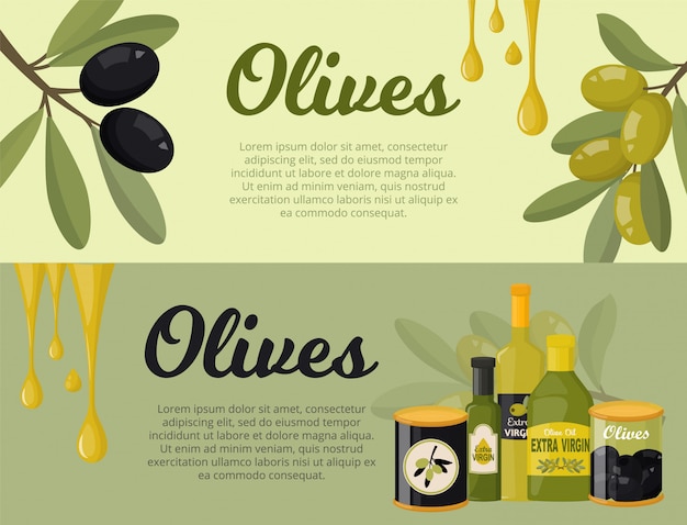 Azeitonas conjunto de banners ilustração estilo simples. ramos de oliveira, folhas, garrafas de vidro com azeite virgem extra, azeitonas verdes e pretas em jar. Vetor Premium