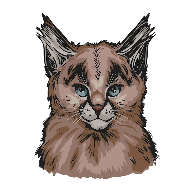 Bebe Caracal Retrato De Animal Exotico Desenho Isolado Ilustracao De Mao Desenhada Vetor Premium