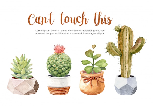 Cactos e succulents da aguarela da coleção com potenciômetros. Vetor Premium