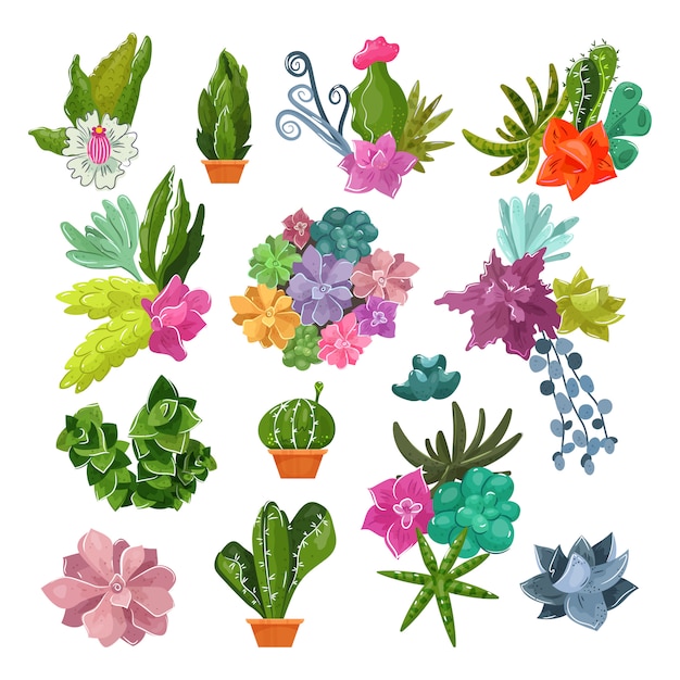 Cactos Em Vasos Botânicos De Desenhos Animados De Cacto Com Flores Tropicais E Conjunto De 9404