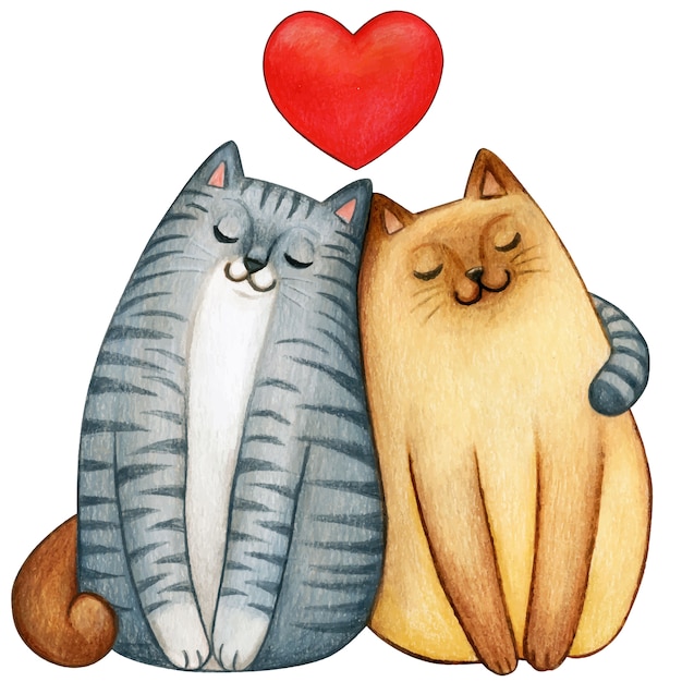 Casal em aquarela de gatos amando um ao outro com coração | Vetor ...
