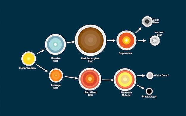 Ciclo De Vida De Uma Estrela Vetor Premium 0044