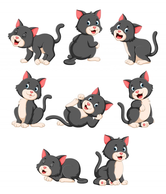 Coleção de gato bonito com vários posando Vetor Premium