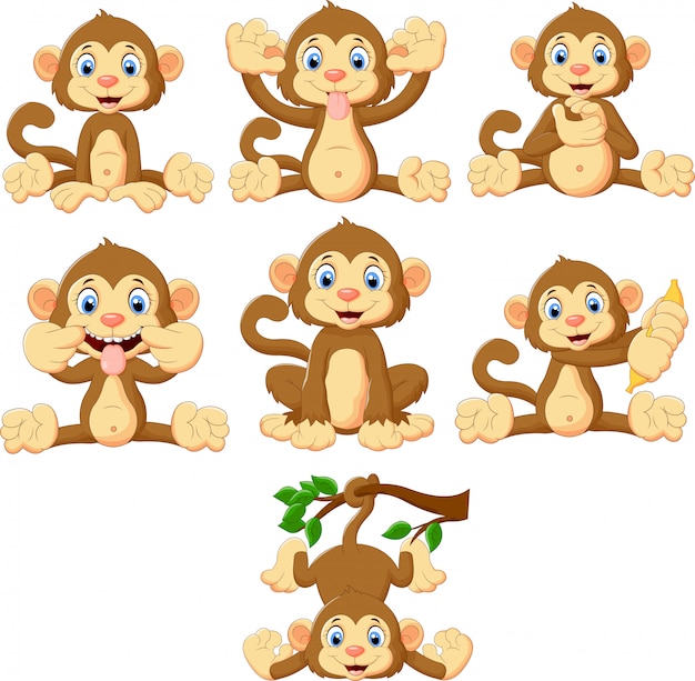 Coleção de macacos dos desenhos animados Vetor Premium