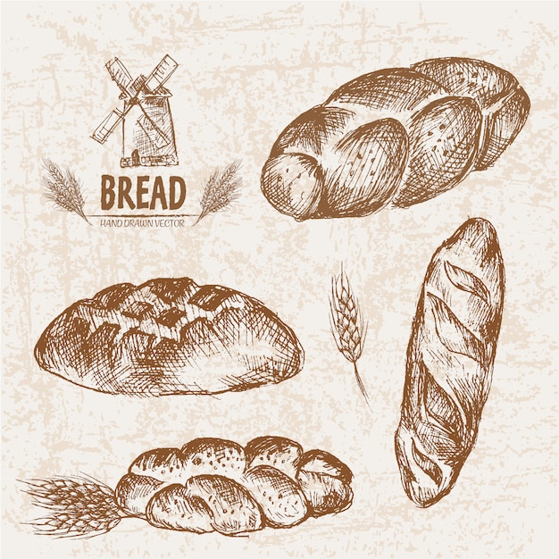 Coleção de pão desenhada a mão Vetor Premium