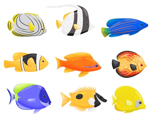 Featured image of post Desenhos De Peixes Coloridos No Fundo Do Mar Diversos desenhos de peixes nadando no fundo do mar