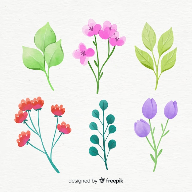 Coleção De Ramo Floral Em Estilo Aquarela Vetor Grátis 9507