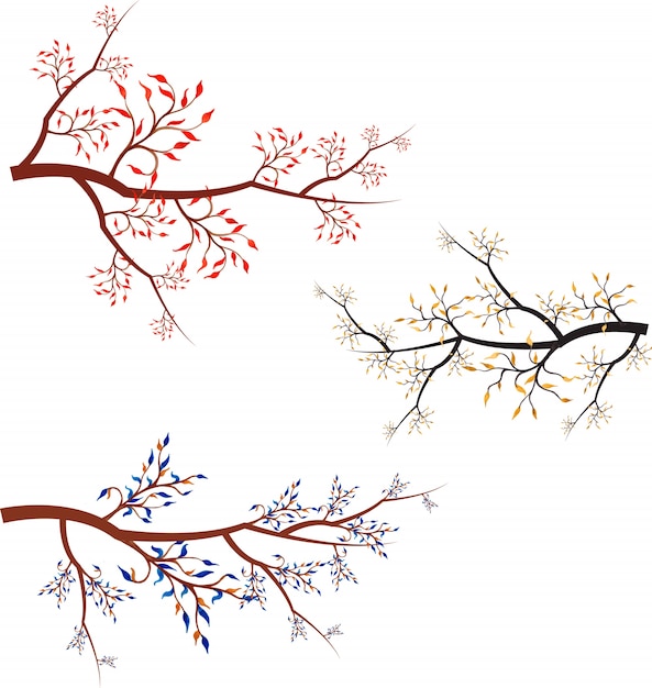 Coleção De Ramos De Vetores Vetor Premium 9731