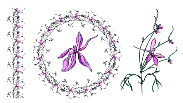 Conjunto com flores silvestres roxas delicadas. Vetor Premium