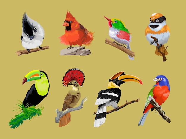 Conjunto Com Passaros Raros Tropicais Brilhantes Tucano Hornbill Comedor Mosca Coroado Passaro Colorido Tropical Brilhante Colecao Corofull Passaros Bonitos Localizacao No Galho Isolado Vetor Premium A frase que procura de passarinhos para ler e compartilhar. https br freepik com profile preagreement getstarted 11055903