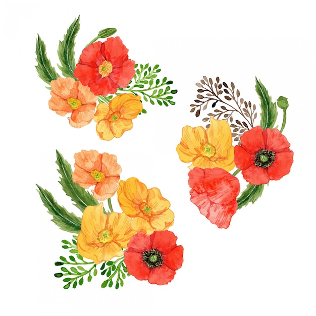 Conjunto De Arranjo De Flores Em Aquarela De Papoula Vetor Premium