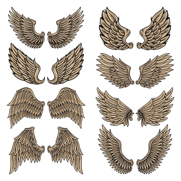 Asas de passaro tatuagem Conjunto De Asas Retro Vintage Colorido Anjos E Passaros Isolaram Ilustracao No Estilo De Tatuagem Vetor Premium