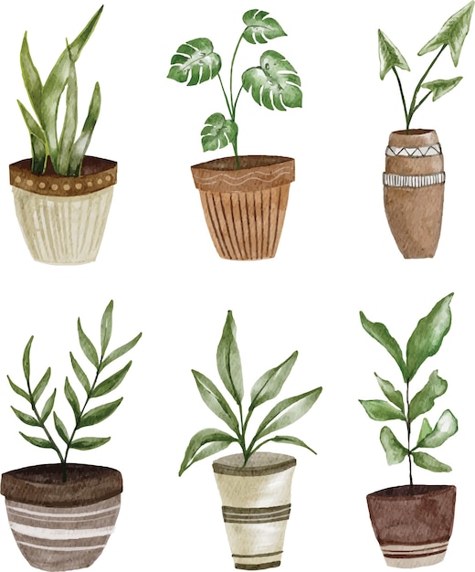 Conjunto De Clipart De Plantas Em Vaso Vetor Premium