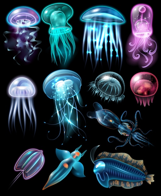 Conjunto de ícones de animais subaquáticos Vetor grátis
