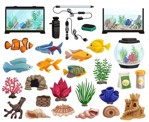 Conjunto de peixes de aquário e aquário Vetor grátis