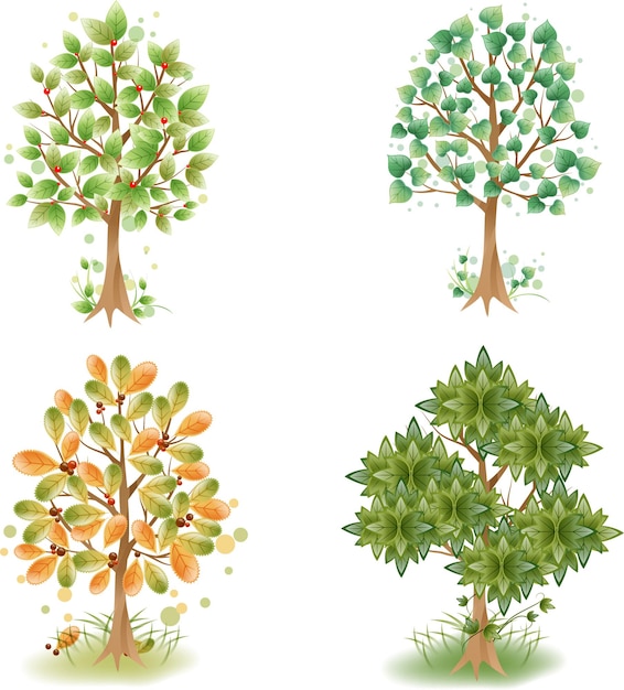 Definir árvores De Diferentes Tipos Em Design Plano Vetor Premium 7684